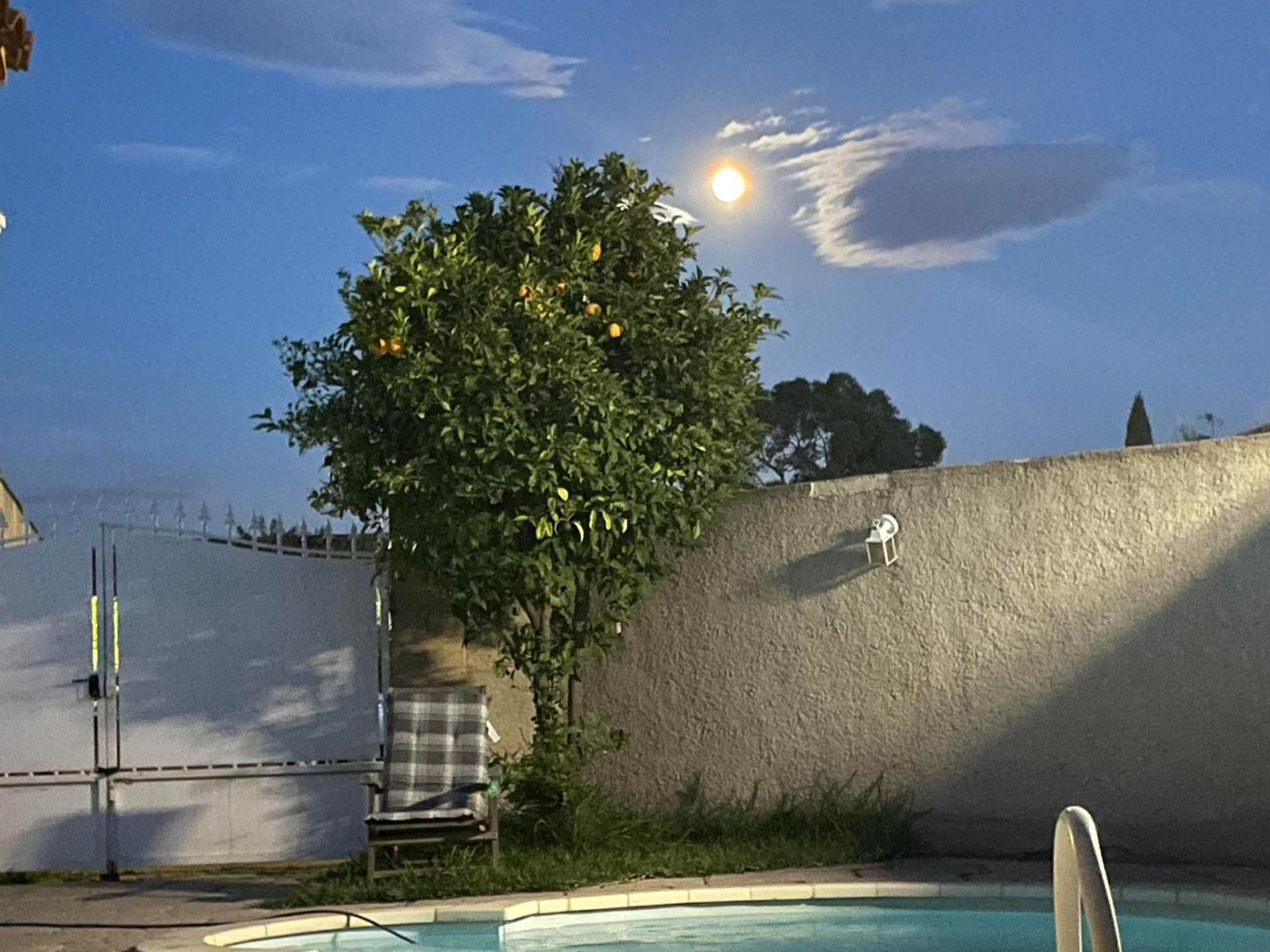 Appartement Bouvreuil Fos-sur-Mer Bagian luar foto